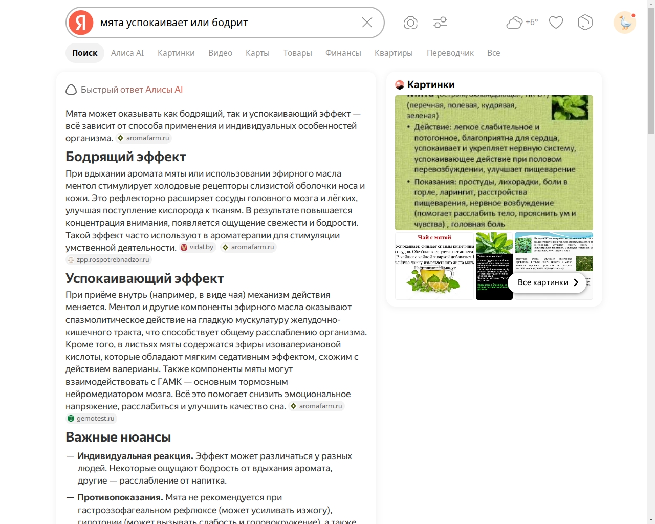 Чай с мятой-1.jpg